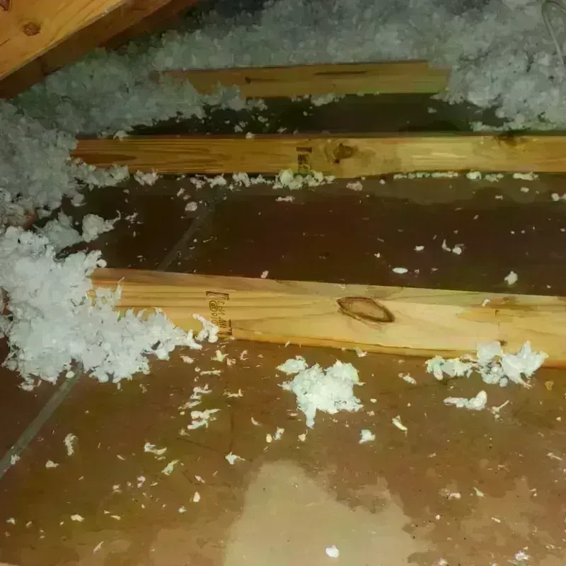 Attic Water Damage in Mont Vernon, NH